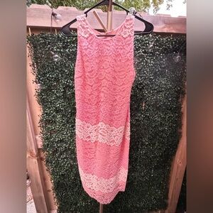 Alexia Admor Peaches & Cream Lace Sheath Dress size 8